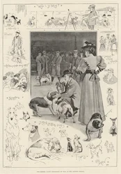 Exposição de cães do Kennel Club no Crystal Palace